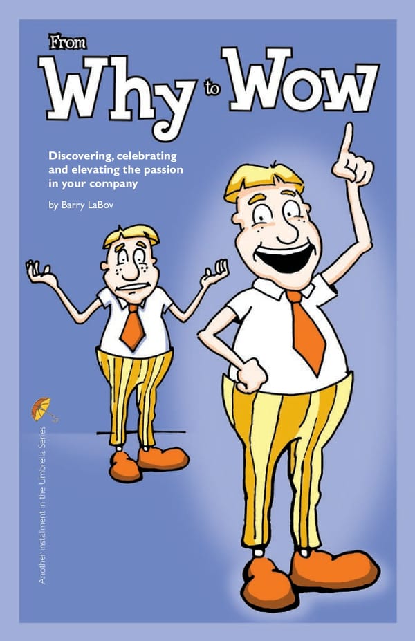 Story 3 | From Why to Wow! - Page 1